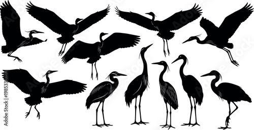 Collection of Heron and Crane Bird Silhouettes in Various Flying and Standing Poses for Nature Conservation Logos, Wildlife Illustrations, and Minimalist Zen Wall Art Designs