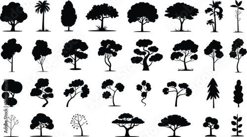 Collection of diverse tree silhouettes including palm oak pine and tropical species isolated on white background for nature landscape design and vector graphics