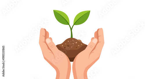 Hands holding a young plant sprout with soil on white background