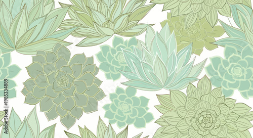 Seamless Succulent Pattern, Botanical Illustration, Green Echeveria Floral Background