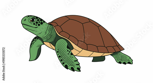 Green Turtle Walking on Land Slowly.