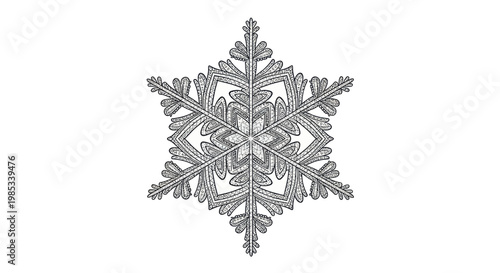 Intricate Snowflake Macro Close-up - Winter Crystal Geometric Pattern