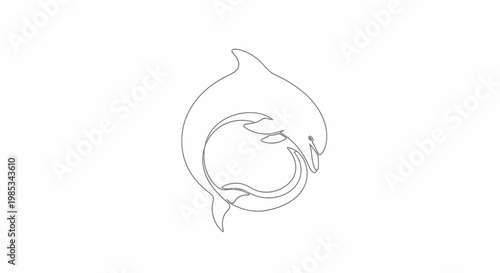 Minimalist Dolphin Line Art Drawing.