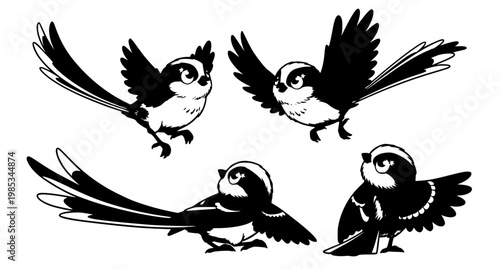 Hand drawn long tailed tit birds sketch style poses vector illustration set isolated on white background