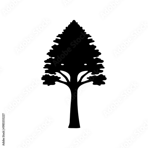 Silhouette of a lush coniferous tree against a bright white background