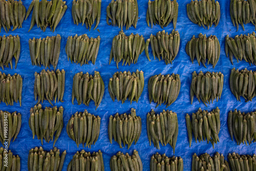groups of fresh Okra on blue background
