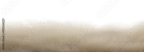 White fur texture border on transparent background, soft animal hair close-up