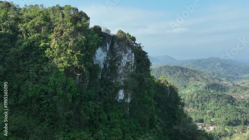 A cinematic drone shot tracks slowly to the right, showcasing lush green trees and dense vegetation growing on a steep limestone cliff in Purwokerto, Central Java