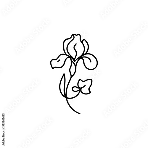 Minimalist iris flower line art drawing