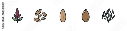 Set of 5 hand-drawn seed and grain icons: amaranth, grains, barley, flaxseed, grass seeds