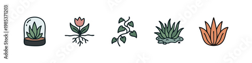 Terrarium and Plant Icons: Terrarium, Tulip, Vine, Grasses, Orange Flower