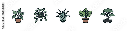 Houseplant Icons: Potted Plant, Hanging Plant, Succulent, Spinach, Bonsai Tree