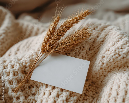 Cozy Beige Knitted Blanket with Golden Wheat Stalks and Blank Card for Text Overlay Soft Natural Lighting Invites Warmth and Serenity