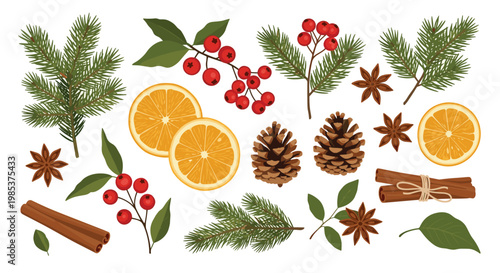 Collection of natural winter holiday elements including pine branches red berries dried orange slices and cinnamon sticks.
