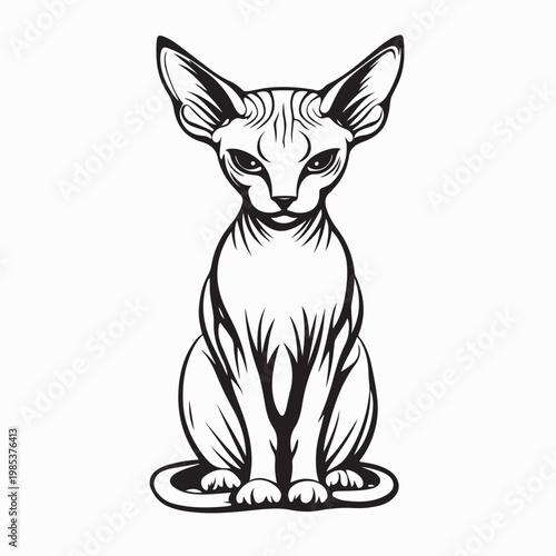 Adorable Sphynx Cat Sitting Full Body Vector Illustration On White Background