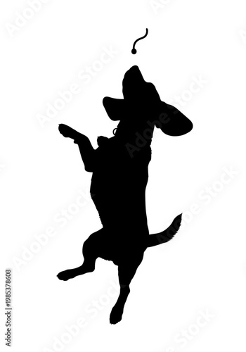 Silhouette of a confused dog standing on hind legs with a question mark.