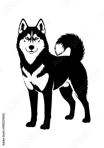 Black and white vector illustration of a majestic Siberian Husky dog standing.