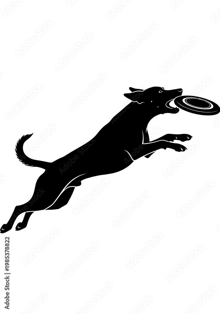 Fototapeta premium Black silhouette of a dog jumping to catch a flying disc.