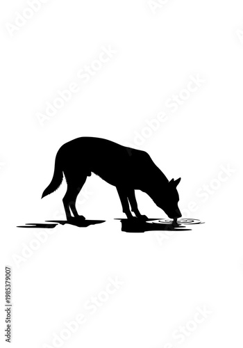 Black silhouette of a dog drinking water from a puddle.