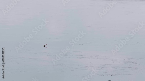 Southern Urals in summer, Yuryuzan River, fishing: float on the water.