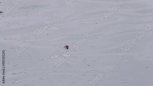 Southern Urals in summer, Yuryuzan River, fishing: float on the water.