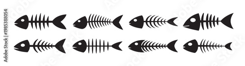 fish skeleton silhouette white background