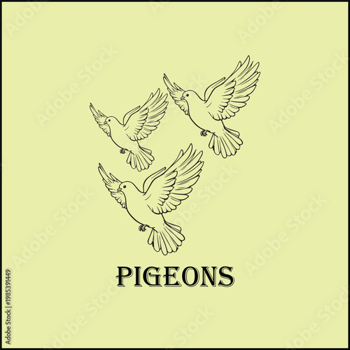 Two pigeons sitting on a branch with detailed feathers and natural colors