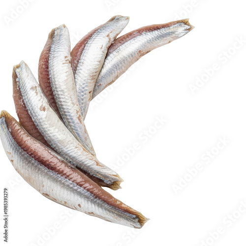 Raw herring fillets on transparent background