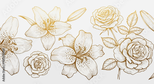 Elegant hand-drawn golden lilies and roses floral border pattern on a light background.