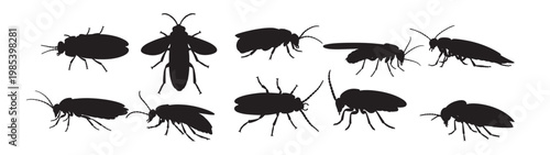  firefly silhouette white background