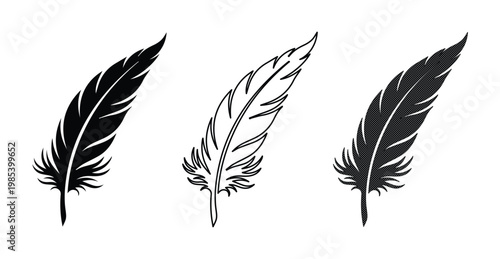 Minimalist feather vector icons set, black and white quill pen illustrations, elegant bird plumage silhouettes for logo design and stationery