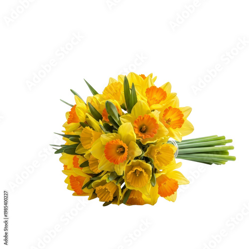Bouquet of yellow and orange daffodils