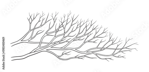 Abstract dark grey branching tree limbs against white branches