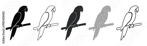 Minimalist parrot icon set, tropical macaw bird silhouettes on branch, black and white parrot vector illustrations for logo design and branding