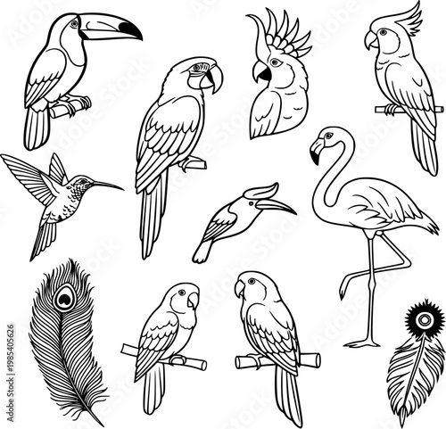 Exotic Birds Vector Illustration Set featuring Tropical Fauna. Collection of Black and White Outline Graphics including Toucan, Macaw, Flamingo, Hummingbird, Parrots, and Decorative Feathers Design.