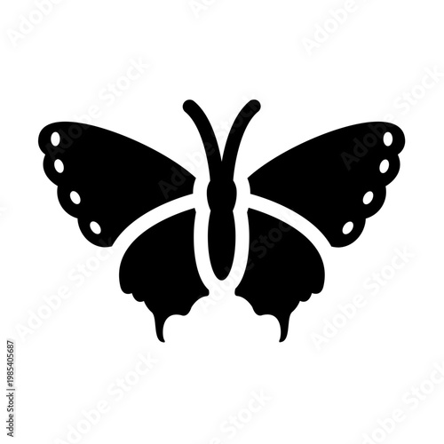 butterfly on white background