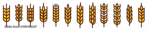 Set of wheat stalk vector illustration