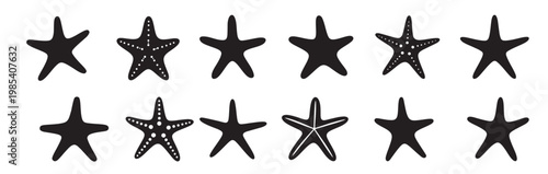 star fish silhouette white background