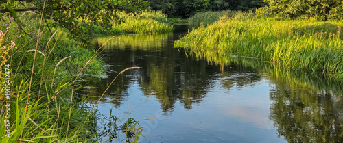 Spring on the small Grabia River, Poland.