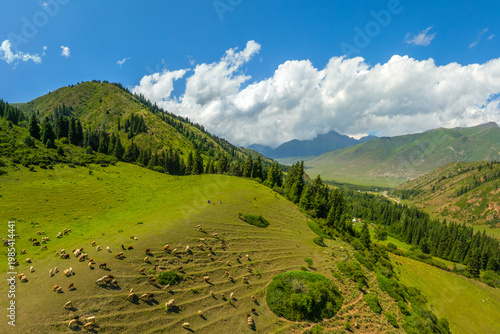 Numerous sheep grazing in serene mountainous landscape