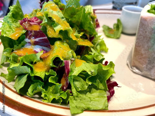 Wallpaper Mural グリーンサラダ ─ ドレッシングがけリーフサラダ・モーニングプレート Torontodigital.ca