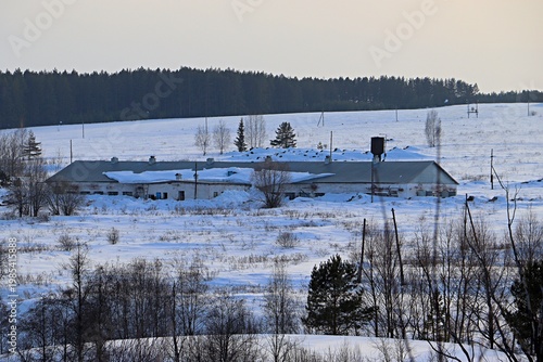 winter agricultural landscape, cattle farm
