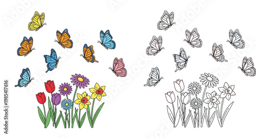 Butterflies Flying Over Spring Flowers Coloring Book Page and Color Illustration Set with Tulips Daisies and Daffodils for Kids Educational Activity Vector Graphic