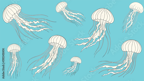Multiple detailed white jellyfish swimming in different directions against a solid light blue background representing the ocean and marine sea life.