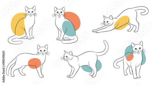 Artistic sketches of cats in various poses such as sitting and stretching with colorful abstract background shapes.