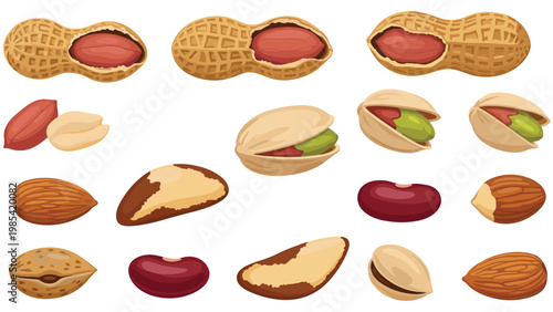 Selection of different types of edible nuts including peanuts, pistachios, almonds, and Brazil nuts.