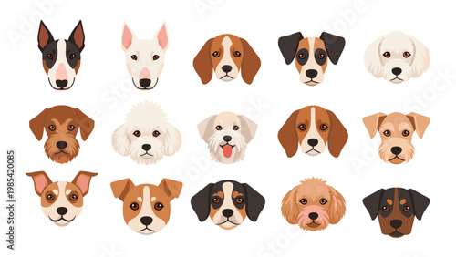 Detailed collection of diverse dog breed faces showing different ear shapes, fur patterns, and facial expressions.
