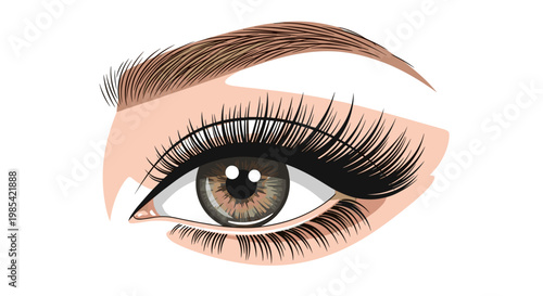 Illustration of a womans eye with dramatic false eyelashes, detailed brow, and neutral background highlighting beauty and fashion elements