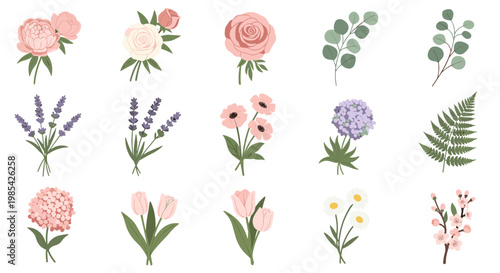 Collection of delicate pink purple and green floral illustrations
