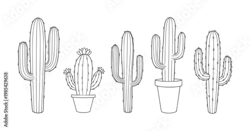 Five outline of various cacti in pots and freestanding cactus plant desert succulent